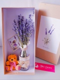 Lọ hoa lavender kèm gấu và hộp 0